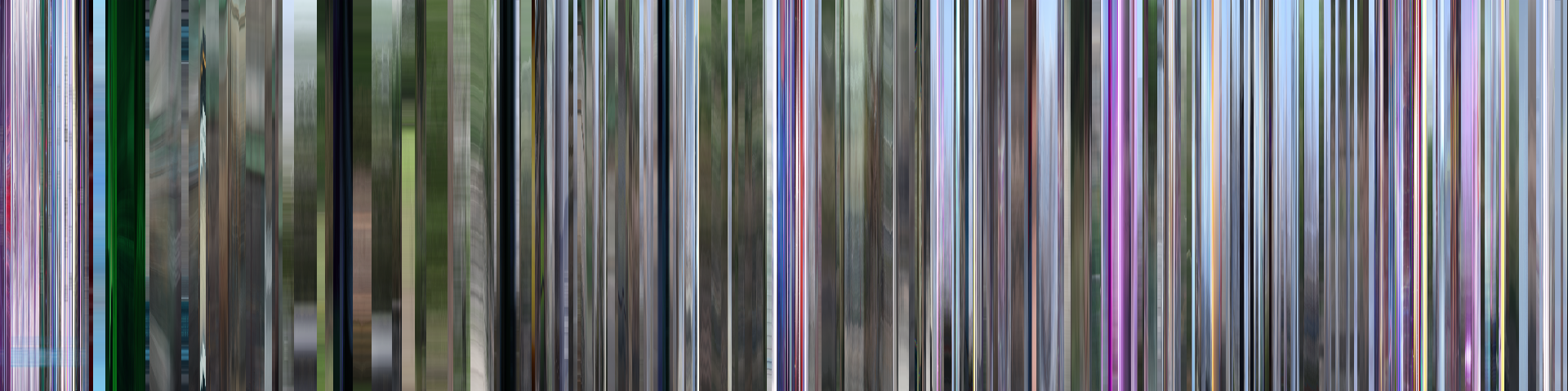 狮子的声音 barcode